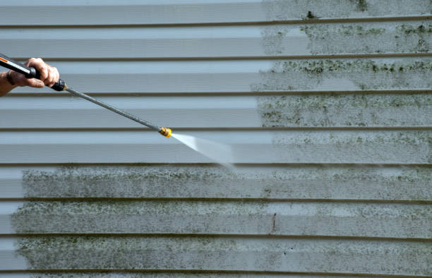 Best Roof Power Washing Services  in USA